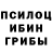 Галлюциногенные грибы Cubensis Vivek Gogate