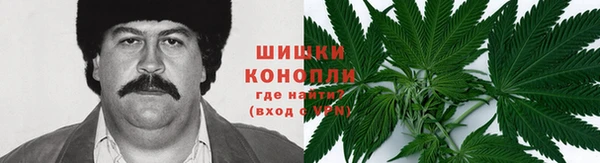 героин Абаза