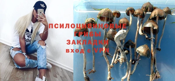 Альфа ПВП Алексин