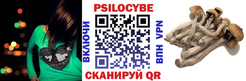 купить закладку  Боровичи  mega сайт  Псилоцибиновые грибы Cubensis 