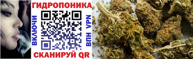 Бошки марихуана сатива Боровичи
